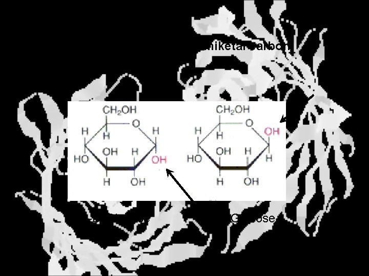 Anomers Differ at the hemiacetal or hemiketal carbon a-D-Glucose b-D-Glucose 