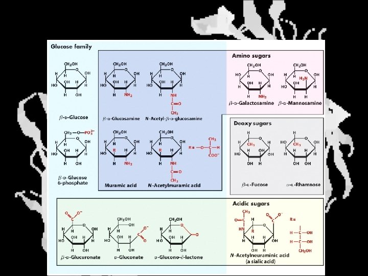 Sugar Derivatives 