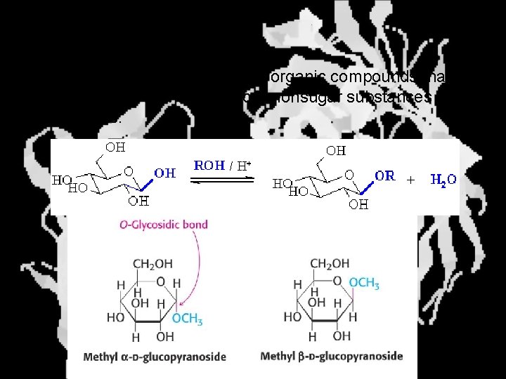 Glycosides Glycoside: Any of a group of organic compounds that yield a sugar and