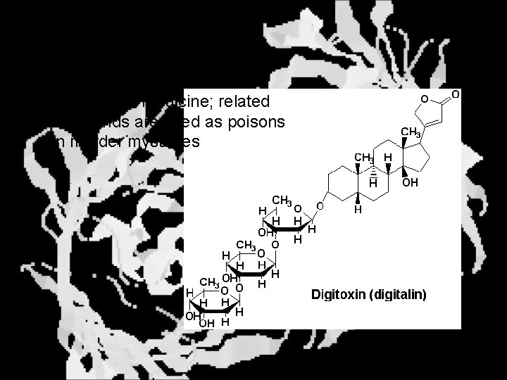 Natural Glycosides Digitoxin is used as a heart stimulant in medicine; related componds are
