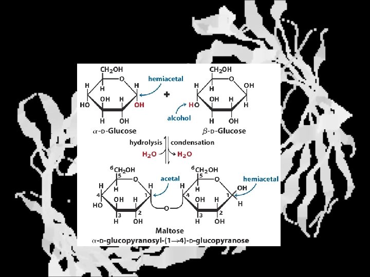 Polymerization 