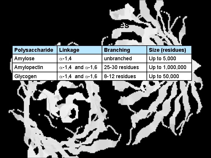 Storage Polysaccharides Polysaccharide Linkage Branching Size (residues) Amylose a-1, 4 unbranched Up to 5,