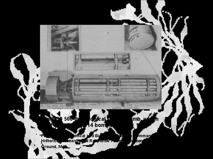 Delivery The M 33 500 -lb biological cluster bomb, which held 108 of the