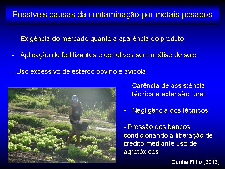 Possíveis causas da contaminação por metais pesados - Exigência do mercado quanto a aparência