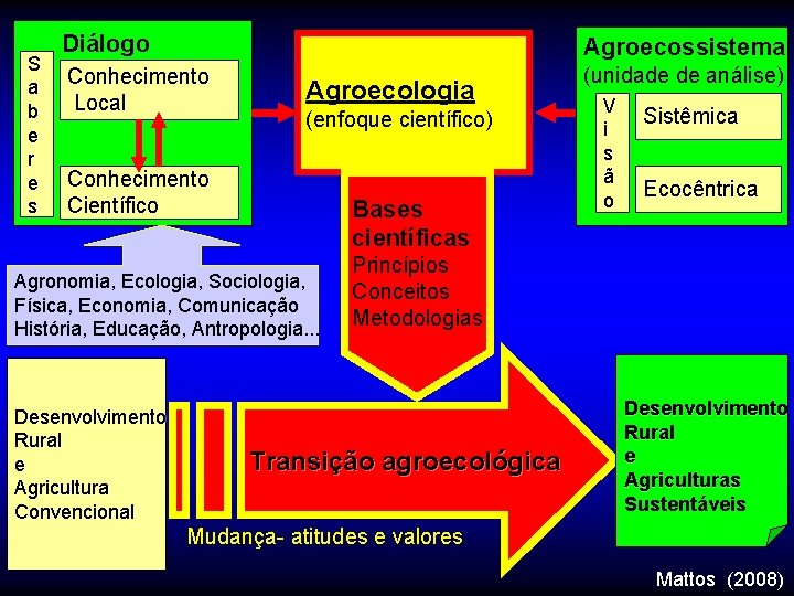 S a b e r e s Diálogo Agroecossistema Conhecimento Local (unidade de análise)