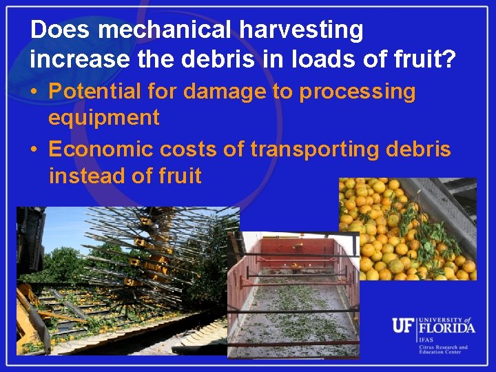 Does mechanical harvesting increase the debris in loads of fruit? • Potential for damage