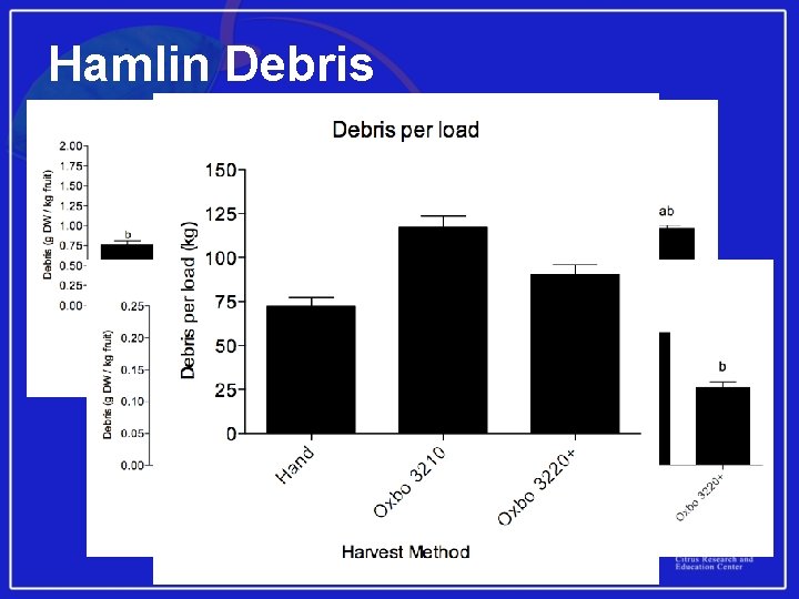 Hamlin Debris 