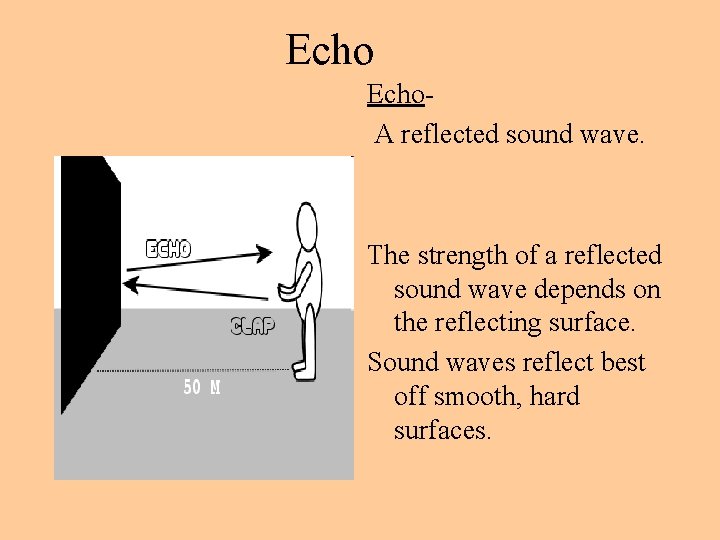 Echo. A reflected sound wave. The strength of a reflected sound wave depends on