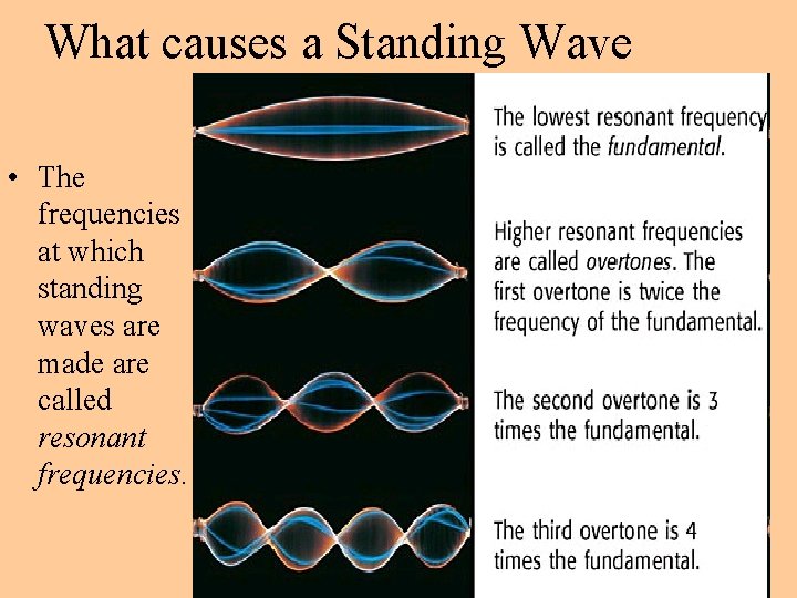 What causes a Standing Wave • The frequencies at which standing waves are made