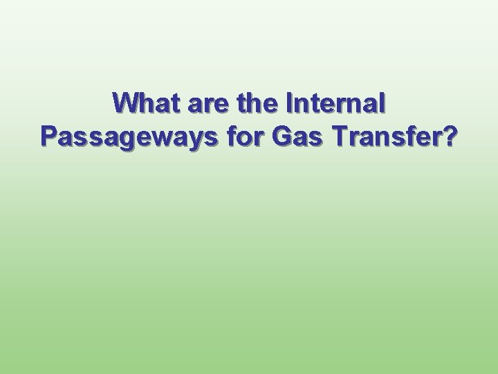 What are the Internal Passageways for Gas Transfer? 