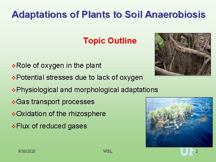 Adaptations of Plants to Soil Anaerobiosis Topic Outline v. Role of oxygen in the