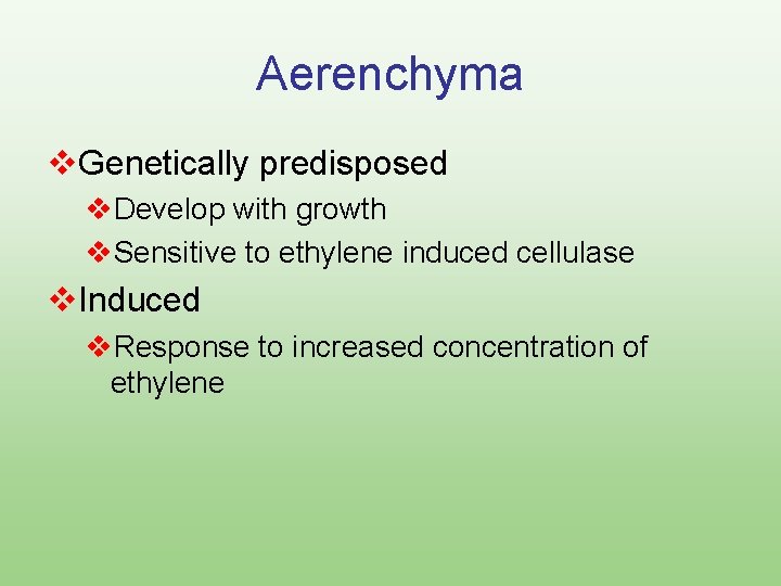 Aerenchyma v. Genetically predisposed v. Develop with growth v. Sensitive to ethylene induced cellulase