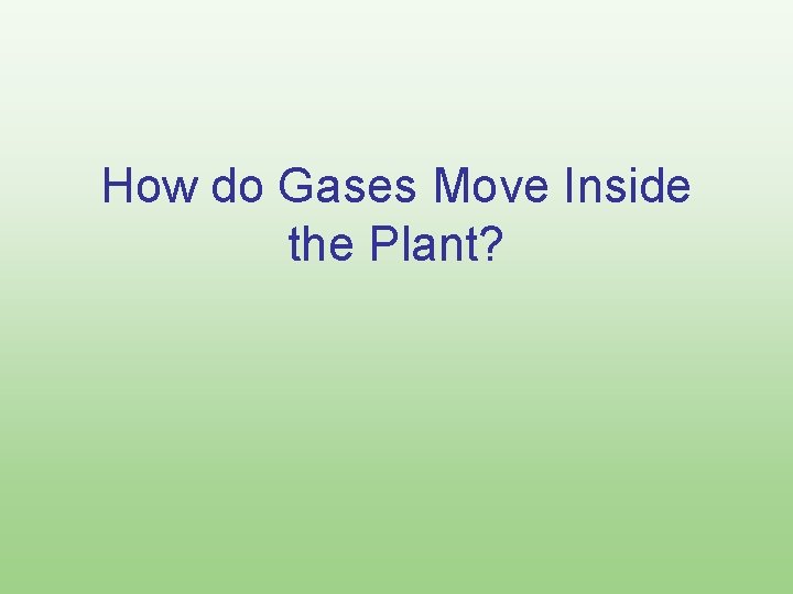 How do Gases Move Inside the Plant? 