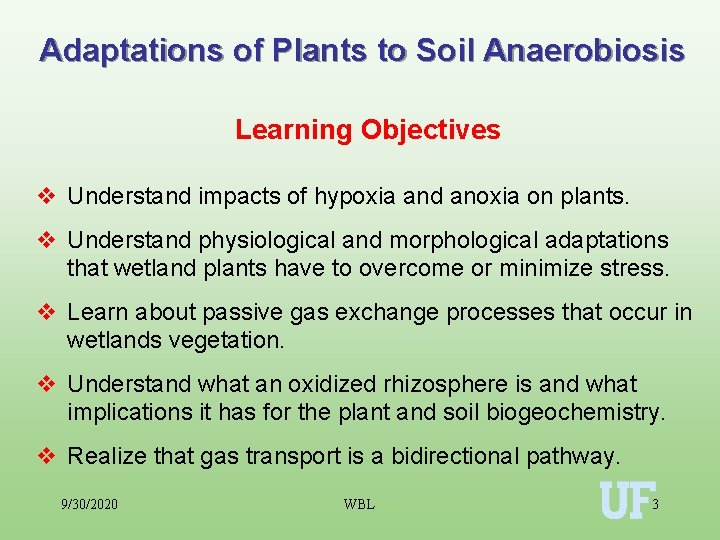 Adaptations of Plants to Soil Anaerobiosis Learning Objectives v Understand impacts of hypoxia and