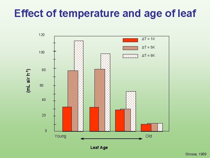 Effect of temperature and age of leaf 120 ΔT = 1 K ΔT =