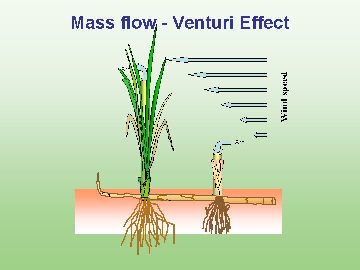 Mass flow - Venturi Effect Wind speed Air 