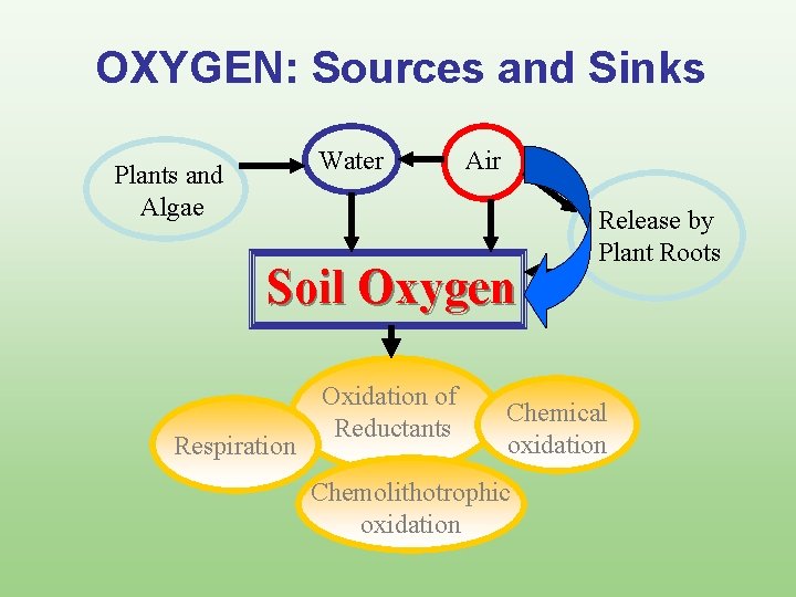 OXYGEN: Sources and Sinks Water Plants and Algae Air Soil Oxygen Respiration Oxidation of