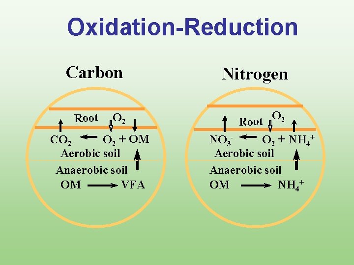 Oxidation-Reduction Carbon Root O 2 CO 2 + OM Aerobic soil Anaerobic soil OM