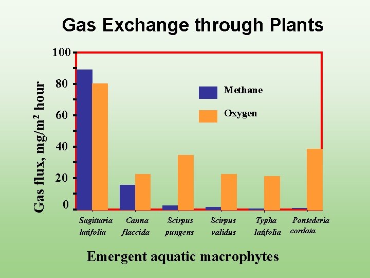 Gas Exchange through Plants Gas flux, mg/m 2 hour 100 80 Methane 60 Oxygen