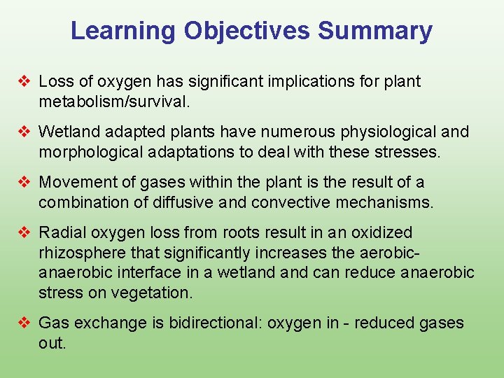 Learning Objectives Summary v Loss of oxygen has significant implications for plant metabolism/survival. v