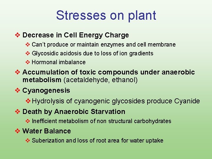 Stresses on plant v Decrease in Cell Energy Charge v Can’t produce or maintain