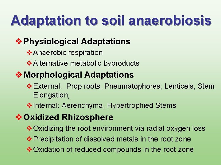 Adaptation to soil anaerobiosis v Physiological Adaptations v. Anaerobic respiration v. Alternative metabolic byproducts