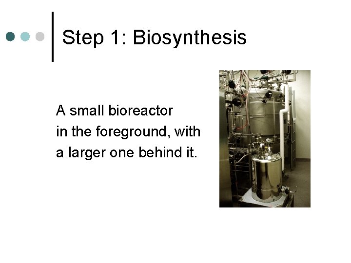 Step 1: Biosynthesis A small bioreactor in the foreground, with a larger one behind
