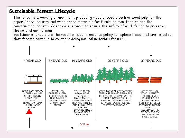 Sustainable Forrest Lifecycle The forest is a working environment, producing wood products such as