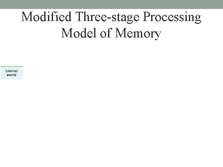 Modified Three-stage Processing Model of Memory 