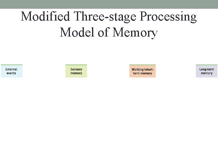 Modified Three-stage Processing Model of Memory Modified Three-stage Processing Model of Memory