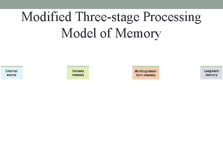 Modified Three-stage Processing Model of Memory 