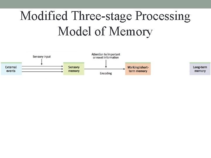 Modified Three-stage Processing Model of Memory Modified Three-stage Processing Model of Memory