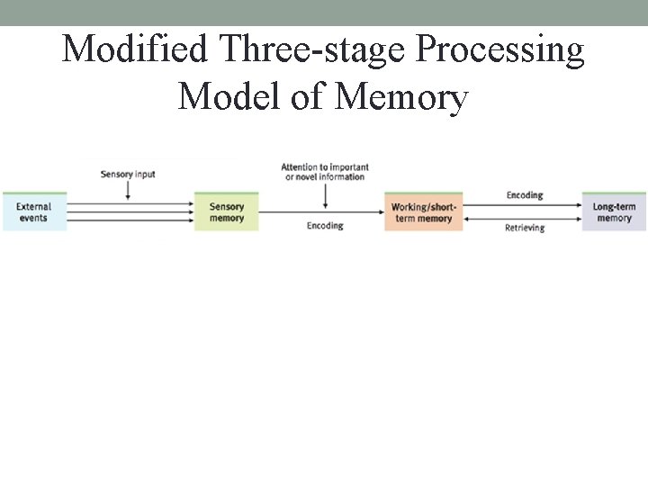Modified Three-stage Processing Model of Memory Modified Three-stage Processing Model of Memory