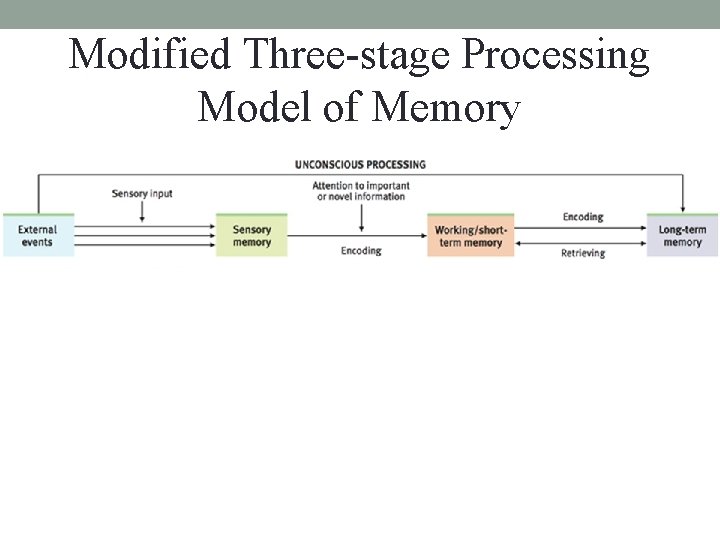 Modified Three-stage Processing Model of Memory Modified Three-stage Processing Model of Memory
