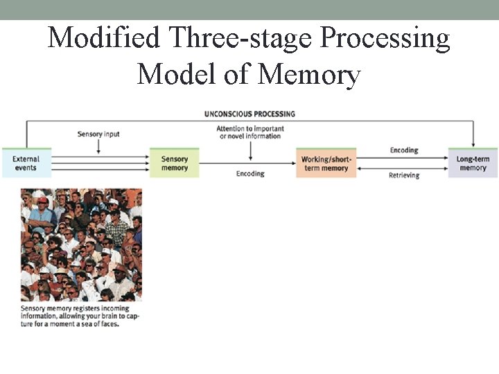 Modified Three-stage Processing Model of Memory Modified Three-stage Processing Model of Memory