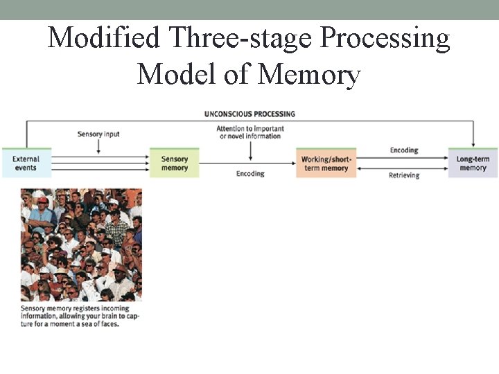 Modified Three-stage Processing Model of Memory 