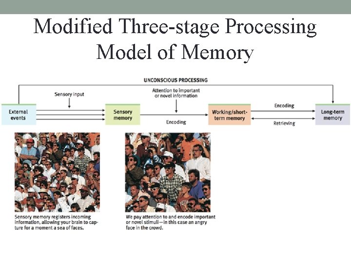 Modified Three-stage Processing Model of Memory Modified Three-stage Processing Model of Memory