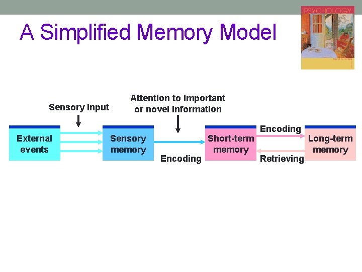 A Simplified Memory Model Sensory input External events Attention to important or novel information