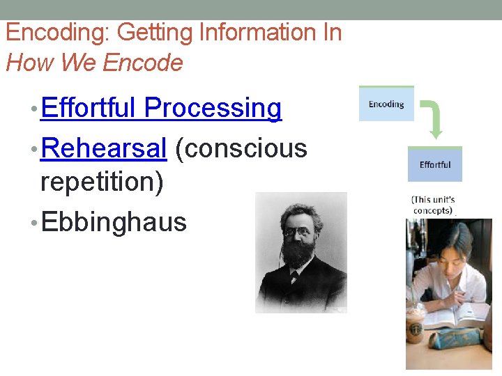 Encoding: Getting Information In How We Encode • Effortful Processing • Rehearsal (conscious repetition) Encoding: Getting Information In How We Encode • Effortful Processing • Rehearsal (conscious repetition)