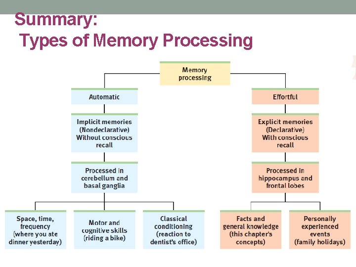 Summary: Types of Memory Processing Summary: Types of Memory Processing