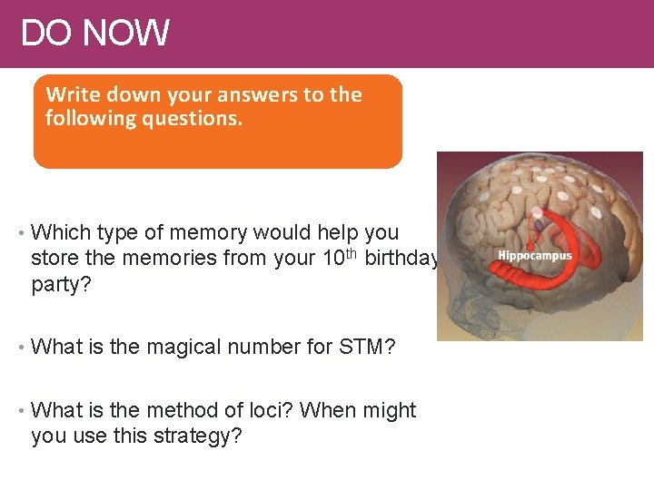 DO NOW Write down your answers to the following questions. • Which type of DO NOW Write down your answers to the following questions. • Which type of