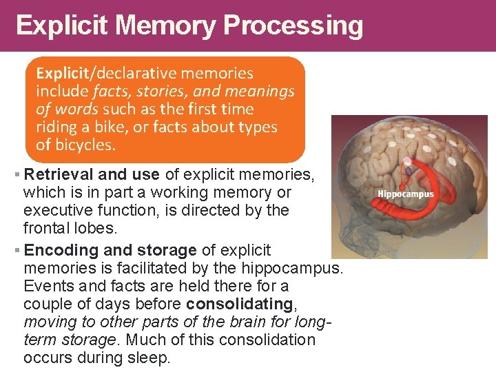 Explicit Memory Processing Explicit/declarative memories include facts, stories, and meanings of words such as Explicit Memory Processing Explicit/declarative memories include facts, stories, and meanings of words such as