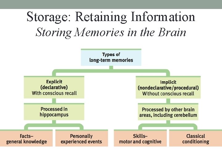 Storage: Retaining Information Storing Memories in the Brain 