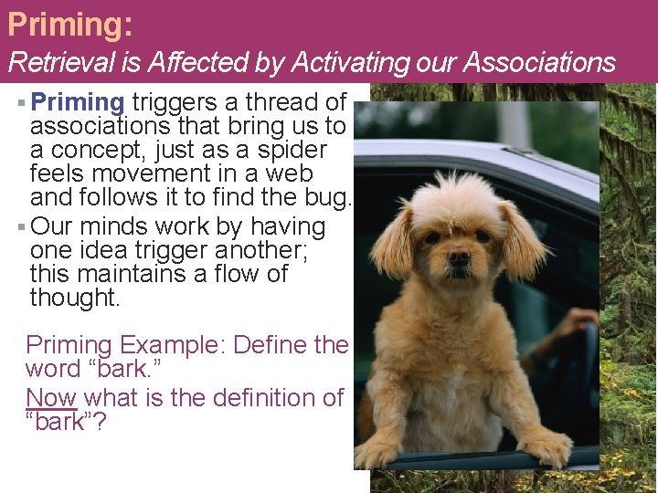 Priming: Retrieval is Affected by Activating our Associations § Priming triggers a thread of Priming: Retrieval is Affected by Activating our Associations § Priming triggers a thread of