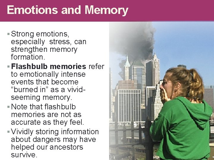 Emotions and Memory § Strong emotions, especially stress, can strengthen memory formation. § Flashbulb