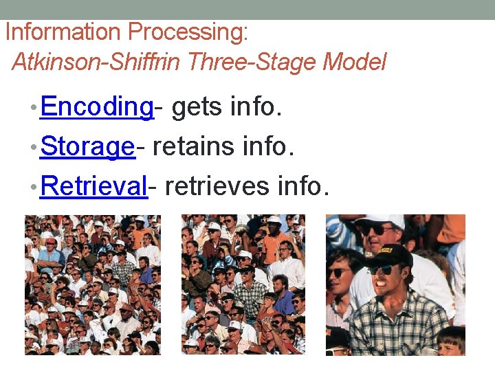 Information Processing: Atkinson-Shiffrin Three-Stage Model • Encoding- gets info. • Storage- retains info. •