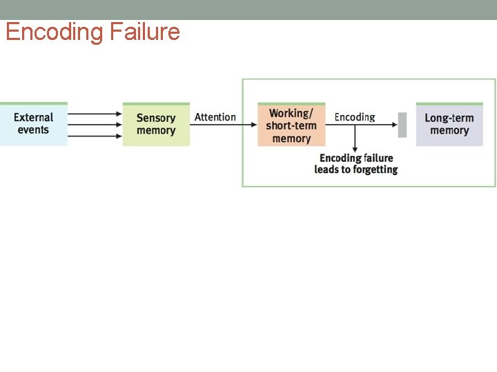 Encoding Failure Encoding Failure