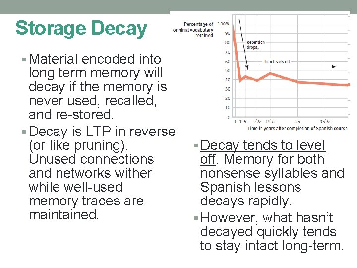 Storage Decay § Material encoded into long term memory will decay if the memory