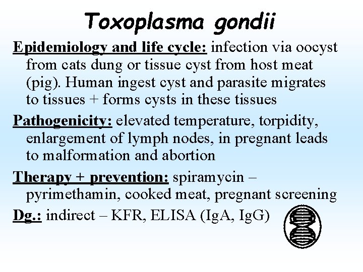 Toxoplasma gondii Epidemiology and life cycle: infection via oocyst from cats dung or tissue