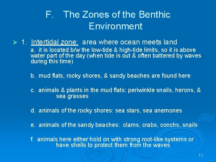 F. The Zones of the Benthic Environment Ø 1. Intertidal zone: area where ocean
